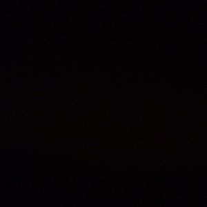 Meet your Posher, Will